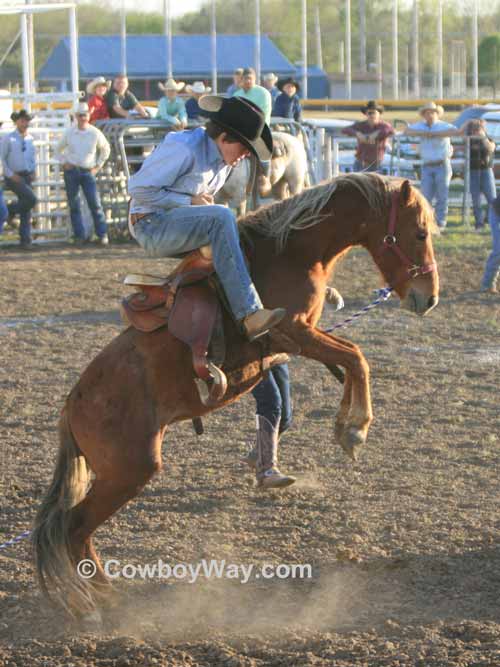 A 3rd daily photo with cowboys or cowgirls
