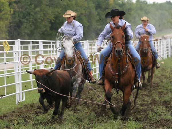 A random photo of the day featuring cowgirls or cowboys