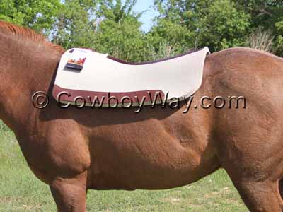 A 5 Star saddle pad for roping