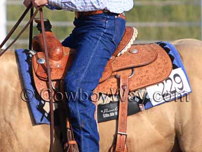 A Western Professional's Choice saddlel pad