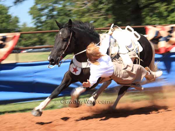 Apache Hideaway in trick riding