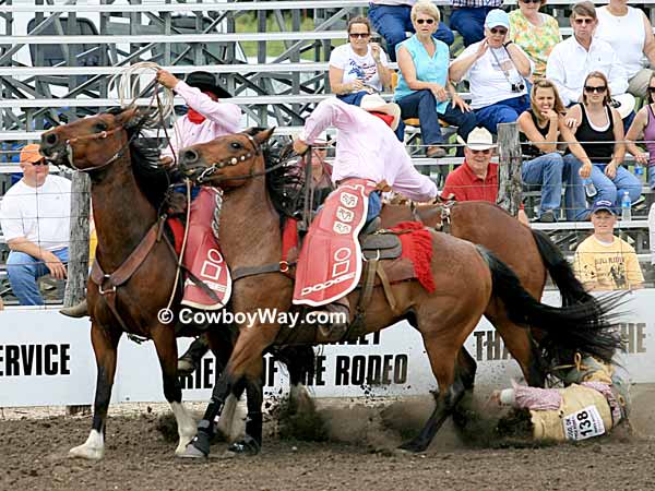 Rodeo pickup men and a fallen bronc rider