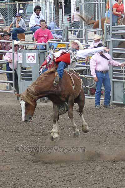 Bareback bronc riding