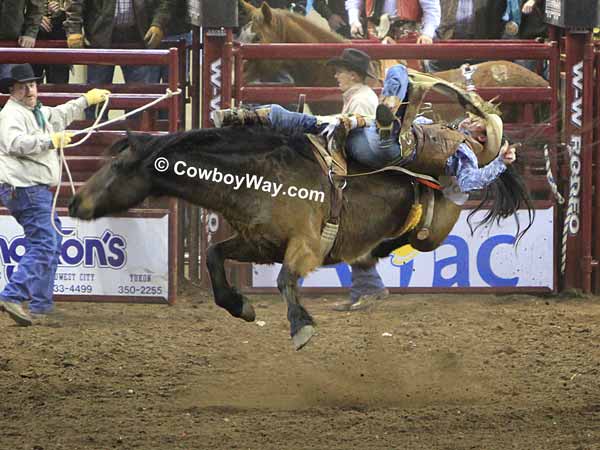 A bareback bronc rider making a ride