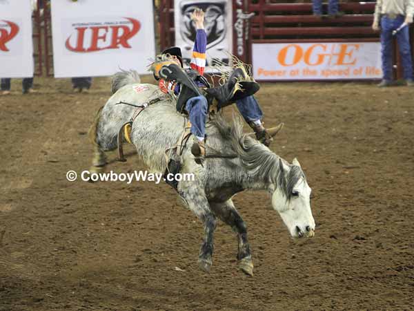 Bareback bronc rider