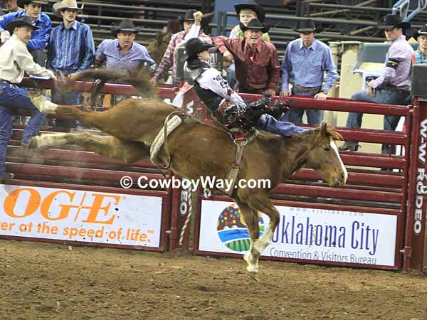 Bareback bronc rider on a sorrel bronc