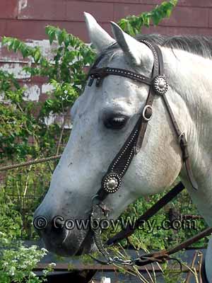 WESTERN HORSE SADDLE TACK GOLD PRAYING COWBOY BERRY CONCHO 1-3/8" screw back 