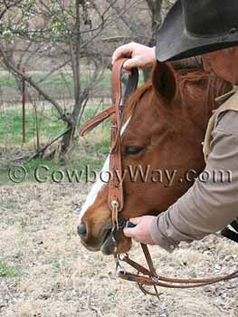 Raise the bridle into the horse's mouth