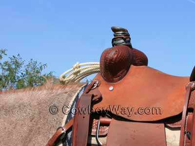 A ranch saddle without bucking rolls