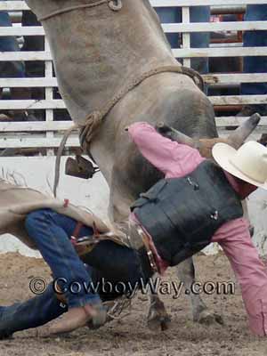 A bull riding rope