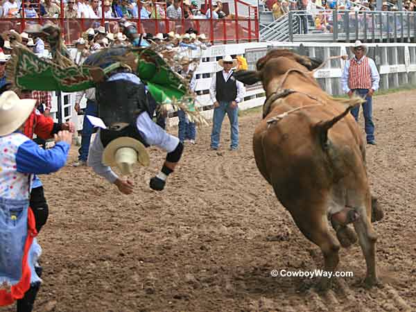 A bull rider upside down in the air A bull rider upside down in the air