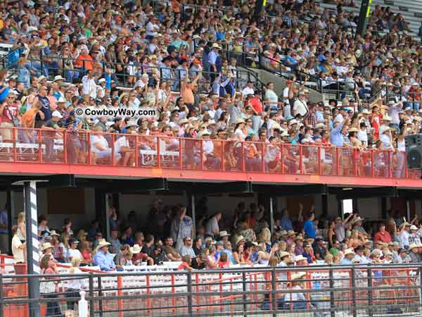 The crowd in B stand watches the bull riding The crowd in B stand watches the bull riding