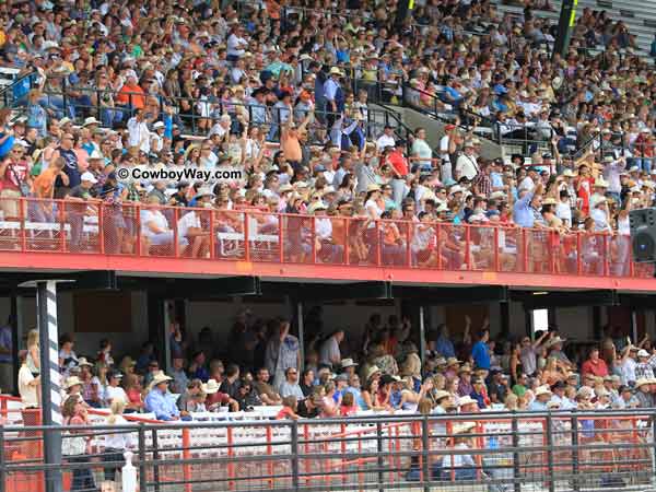 The crowd in B stand watches the bull riding