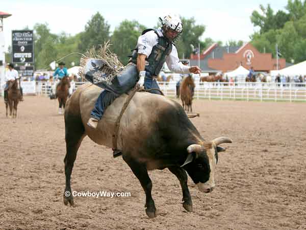 A bull rider A bull rider