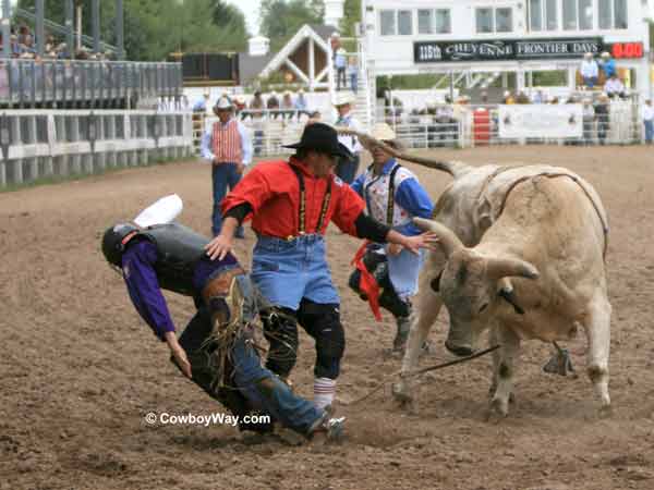 Bull fighters protect a bull rider Bull fighters protect a bull rider