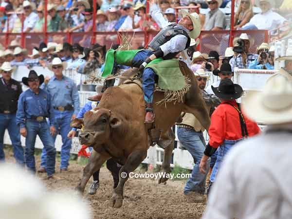 Bull riding at Cheyenne Frontier Days Bull riding at Cheyenne Frontier Days.