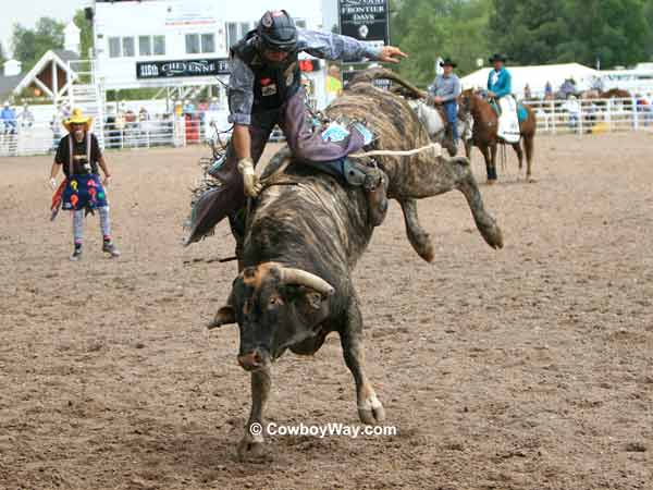 A brindle bucking bull