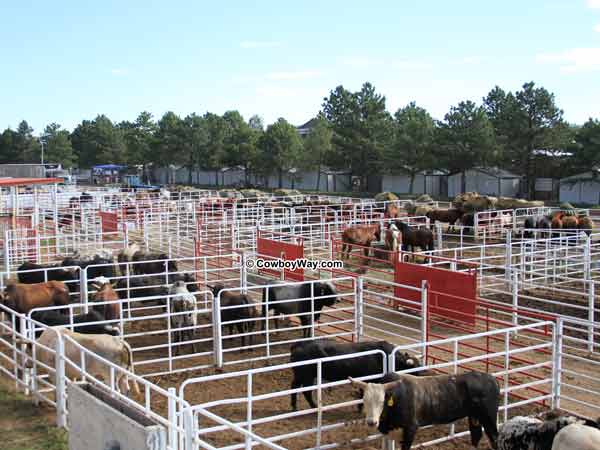 Livestock pens at Frontier Park Livestock pens at Frontier Park
