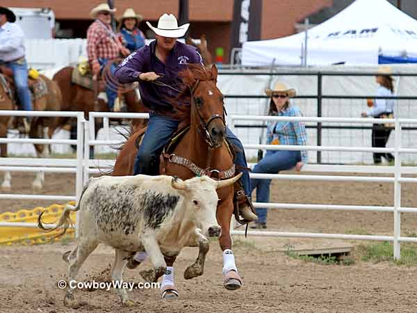 A steer wrestler rates his steer