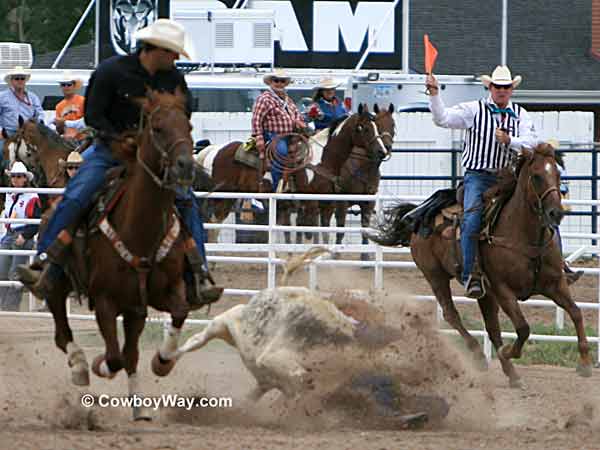 A steer wrestler wrestles his steer 
in a cloud of dust