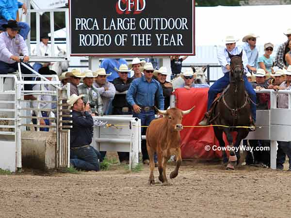 Steer wrestler Seth Brockman