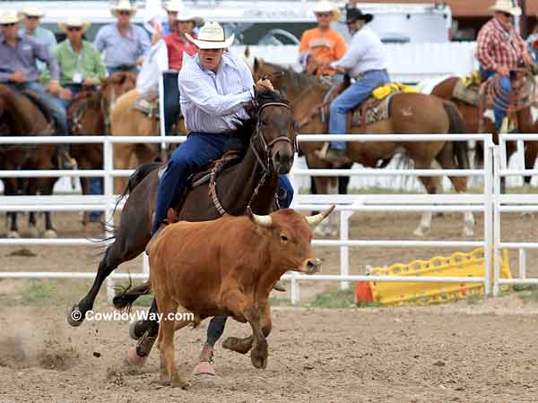 Seth Brockman rates his steer Seth Brockman rates his steer