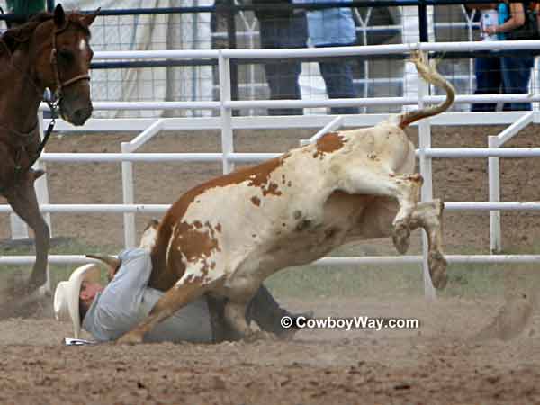 Steer wrestling: Chance Carlson, Marana, AZ Chance Carlson wrestles a steer