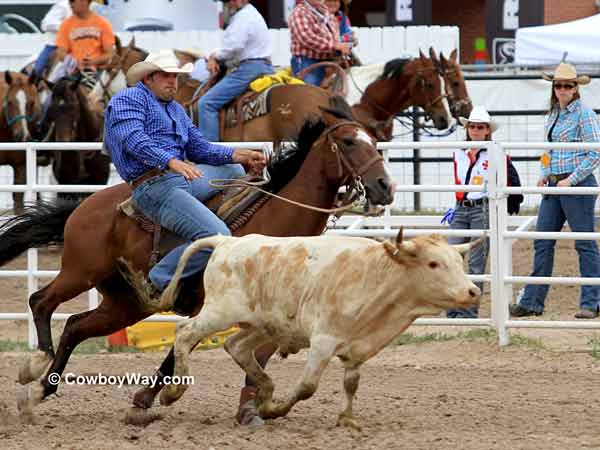 A steer wrestler gets down on a steer A steer wrestler gets down on a steer