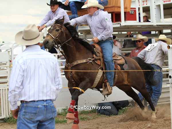 Steer wrestler Payden McIntyre