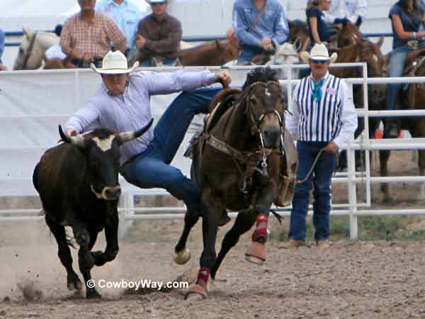 Steer wrestler Payden McIntyre gets down on a steer