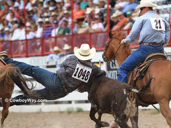 Steer wrestler Wyatt Smith Steer wrestler Wyatt Smith