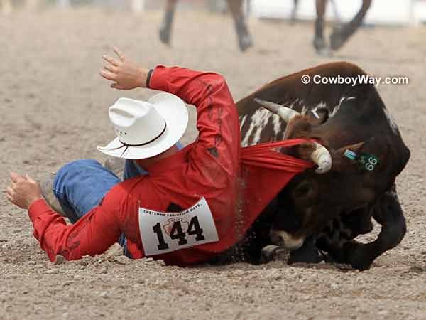 A steer rips the shirt off a steer wrestler