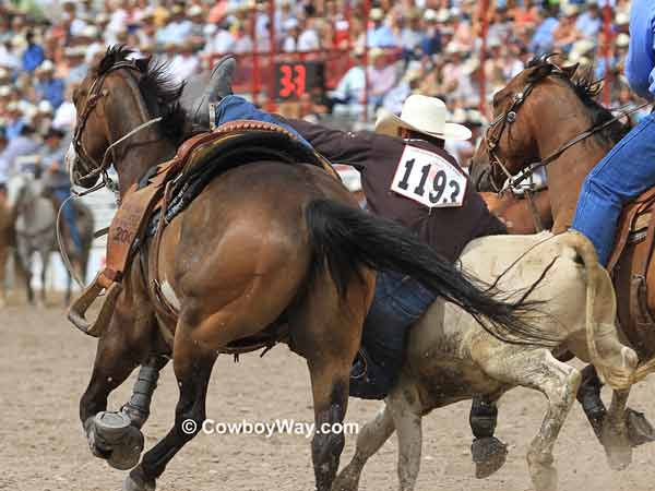 A steer wrestler gets down on a steer