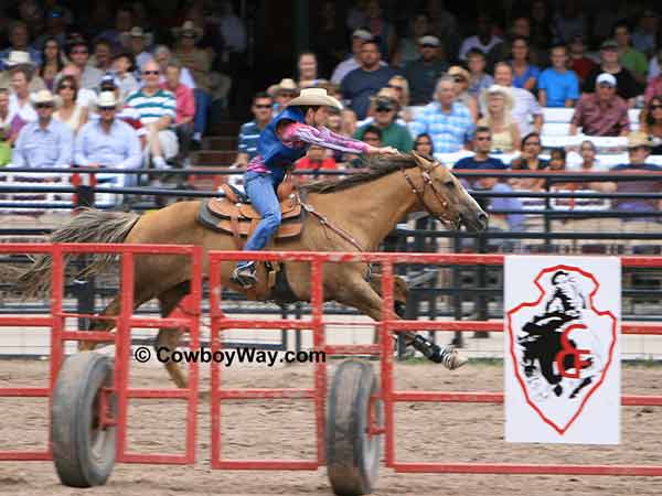 Match horse race