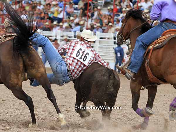 Steer wrestler Wyatt Kinghorn, Lewisville, ID