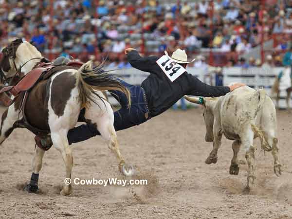 Steer wrestler Gabe Burrows, Hugton, KS