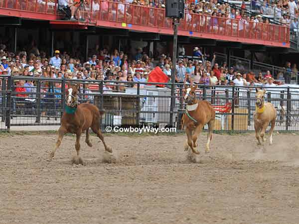 Dinner Bell Derby