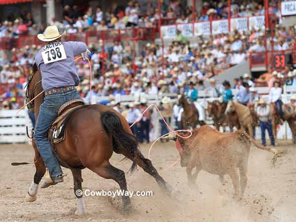 Team roping: Header Mitchell Spencer