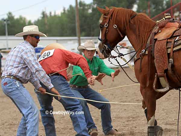 A tie-down roper cuts his rope