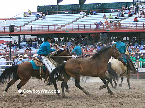 Leading wild horses for the wild horse race Leading wild horses