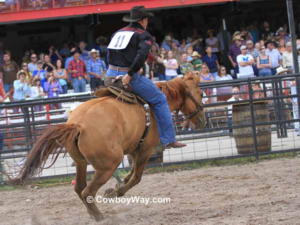 A rider on a wild horse A rider on a wild horse