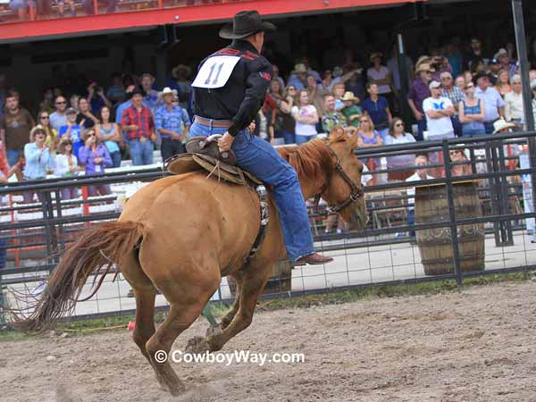 A rider on a wild horse