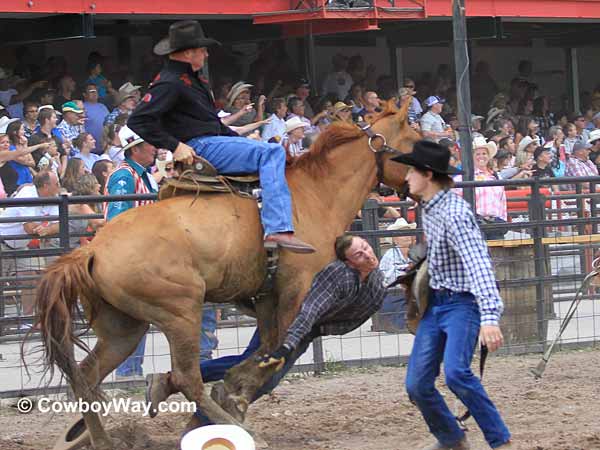 A wild horse runs over a contestant