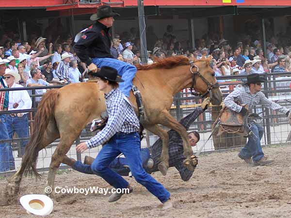 A contestant gets run over by a wild horse A contestant gets run over by a wild horse