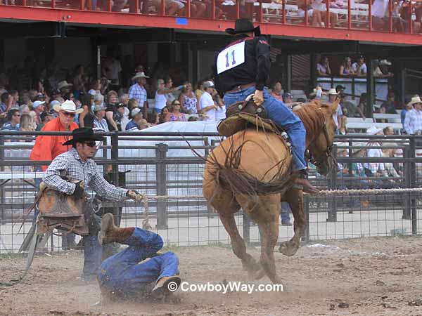 A wild horse approaches a rope