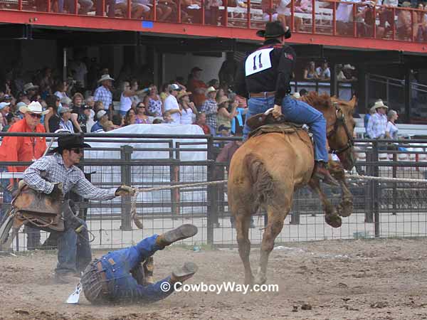 A wild horse runs through a rope