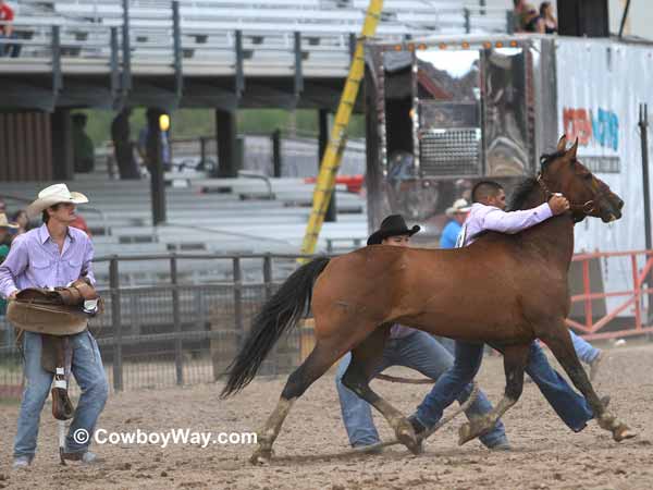 Wild horse racing team #48, the Colby Berry/Jackson's Sports
Bar and Grill team Wild horse racing
team #48, the Colby Berry/Jackson's Sports Bar and Grill team