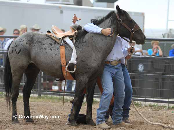 Wild horse racing team #17, the John Long team Wild horse racing team #17, the John Long team