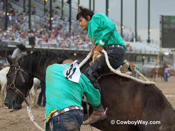 Wild horse racing team #31, David LeClaire 
team