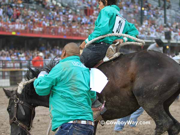 A wild horse takes off in the wrong direction